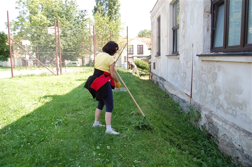 Obrázek v galerii