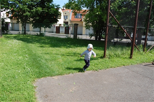 Obrázek v galerii