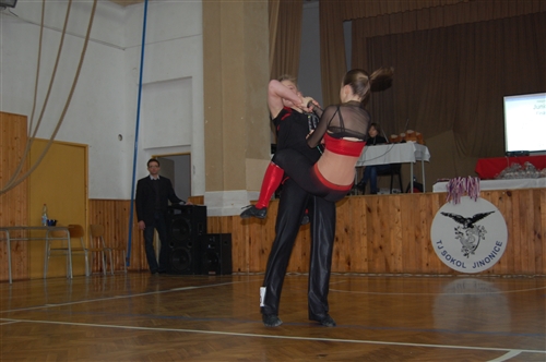 Obrázek v galerii